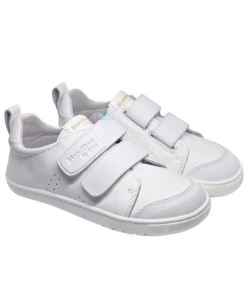 BLANDITOS - RIO BLANCAS