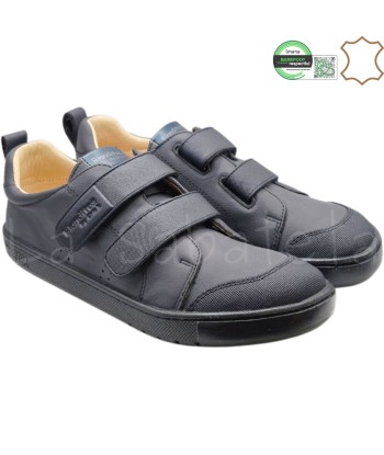 COLEGIAL RIO MARINO -...