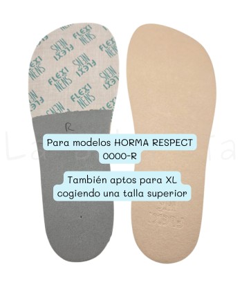 PLANTILLA TRANSICION (HORMA...