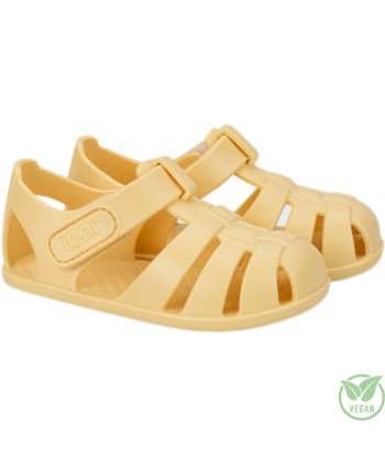 CANGREJERA AGUA NEMO...