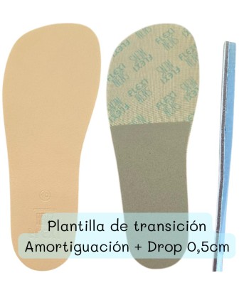 PLANTILLA TRANSICION  HORMA R  - FLEXINENS