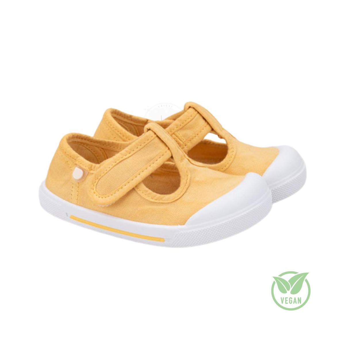 CANVAS PEPITO DIJON WIDE - IGOR