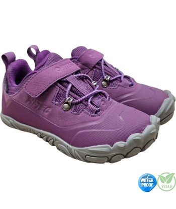 DEPORTIVA FIGARO LUX LOW...